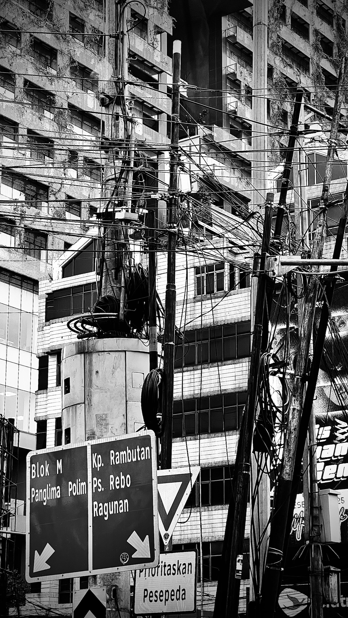 Photo dump from 2025